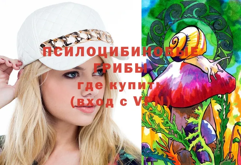 Псилоцибиновые грибы Psilocybine cubensis  купить  цена  Менделеевск 