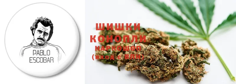 KRAKEN сайт  Менделеевск  Шишки марихуана SATIVA & INDICA 